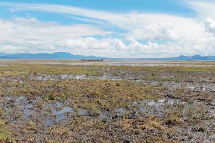 Laguna Babícora, Chihuahua
