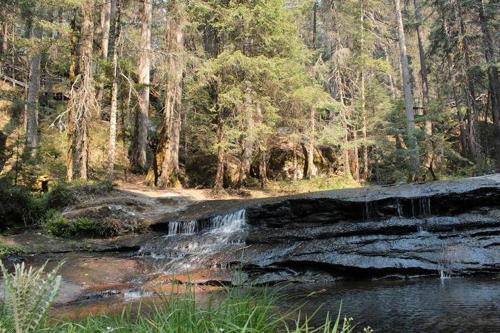 Cascadas Santa Bárbara en Pueblo Nuevo, Durango. Foto por Noe González Gallegos.