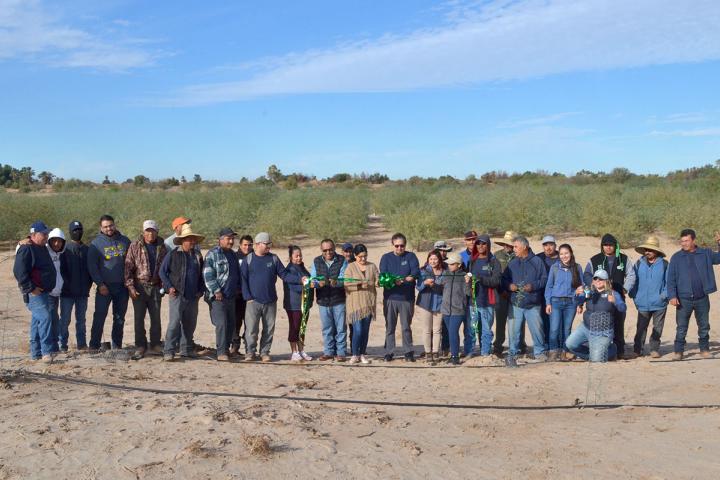 Trabajadores de Pronatura Noroeste, en cierre de 5ta etapa de reforestación