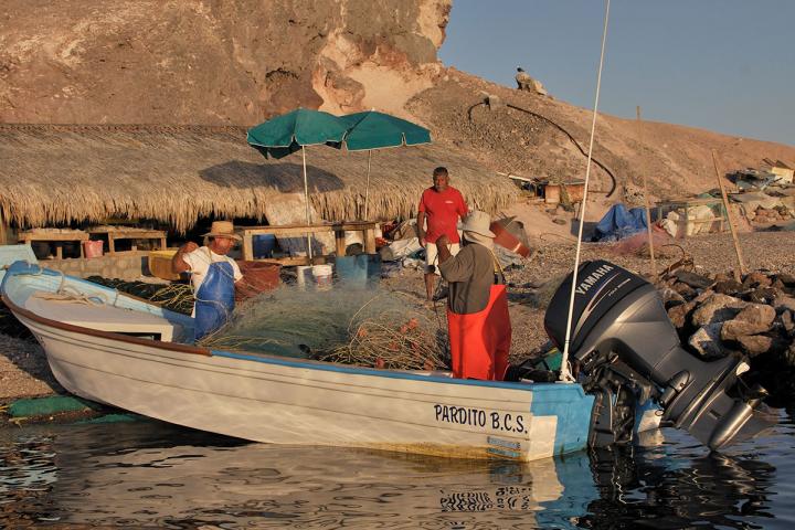 Pescadores en panga "Pardito B. C. S."