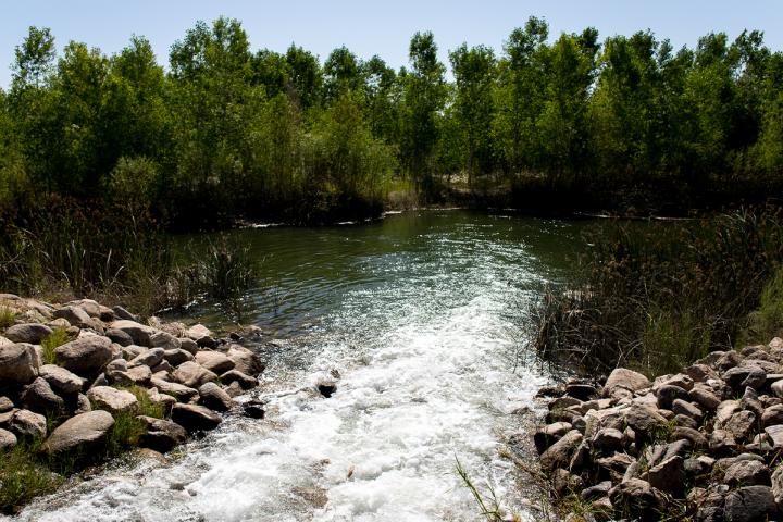 Flujo de agua liberado. Foto por Alianza Revive el río - Jesús García 2021