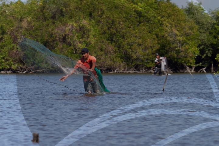 Pescador rivereño en Marismas Nacionales, aventando su tarraya. Foto por Alejandro Castillo.