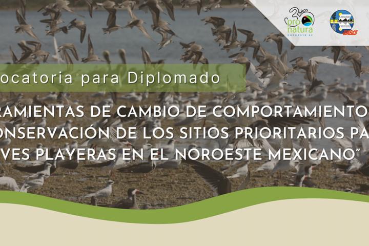 Convocatoria para diplomado