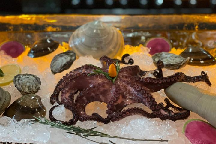 Puplo exhibido en hielo