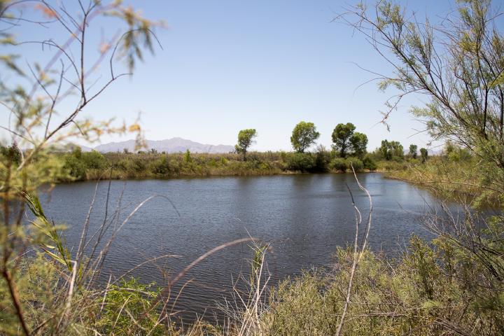 Paisaje del cauce del Río Colorado en Chausse