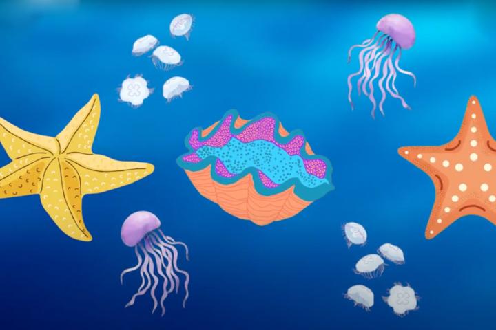 Undersea illustration