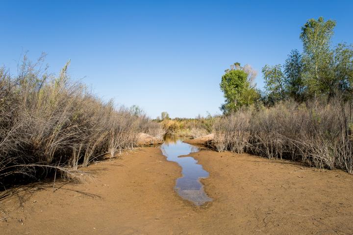 Flujo de agua liberado. Foto por Alianza Revive el río - Jesús García 2021