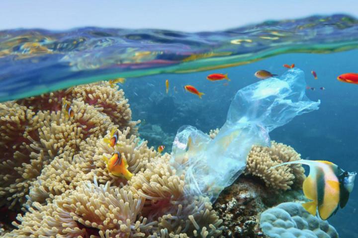 Bolsa de plástico en el mar