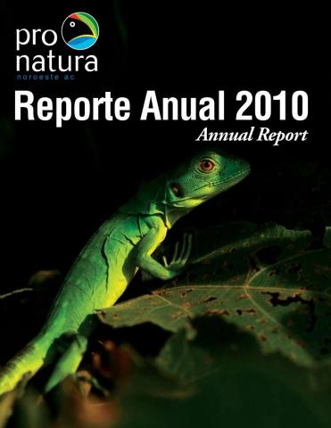 Reporte Anual 2010