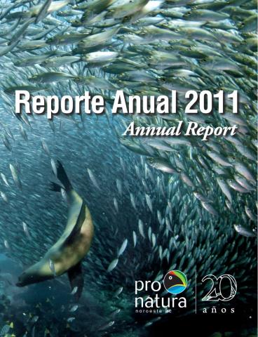 Reporte Anual 2011