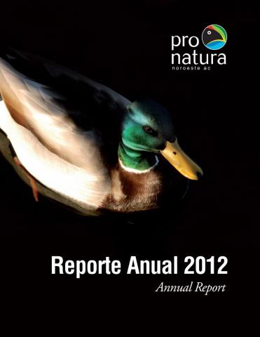 Reporte Anual 2012