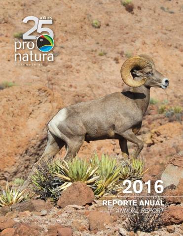Portada de Reporte Anual de 2016
