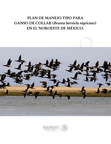Plan de manejo tipo para Ganso de Collar (Branta bernicla nigricans) en el noroeste de México