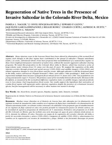 Regeneration of Native Trees in the Presence of Invasive Saltcedar in the Colorado River Delta, Mexico