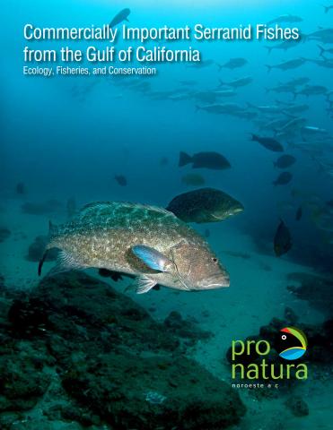 Commercially Important Serranid Fishes from the Gulf of California