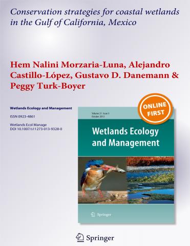 Conservation strategies for coastal wetlands in the Gulf of California, Mexico