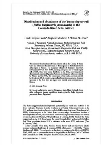 Distribution and abundance of the Yuma clapper rail (Rallus longirostris yumanensis) in the Colorado River delta, Mexico