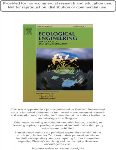 Status of marsh birds in the wetlands of the Colorado River delta, Mexico