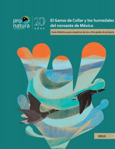 Guía del participante: El Ganso de collar y los humedales del noroeste de México