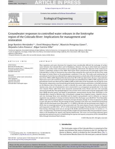 Groundwater responses to controlled water releases in the limitrophe region of the Colorado River: Implications for management and restoration