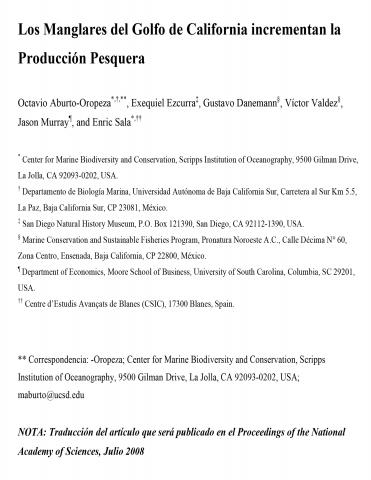 Los Manglares del Golfo de California incrementan la Producción Pesquera