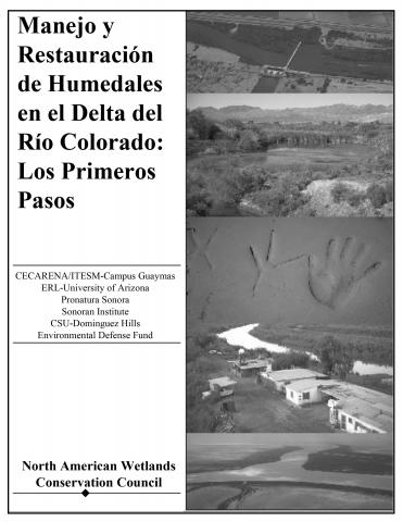 Manejo y Restauración de Humedales en el Delta del Río Colorado: Los Primeros Pasos