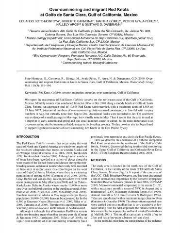 Over-summering and migrant Red Knots at Golfo de Santa Clara, Gulf of California, Mexico