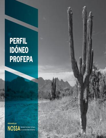 Perfil idóneo PROFEPA