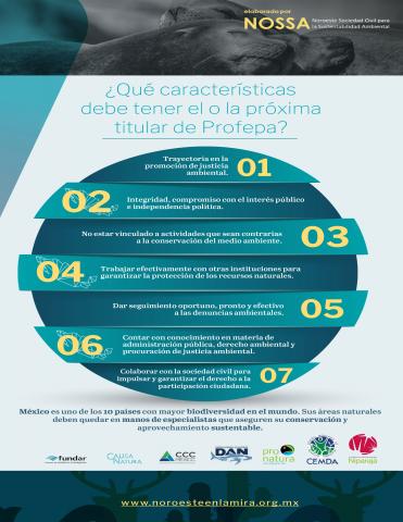 ¿Qué características debe tener el o la próxima titular de Profepa?