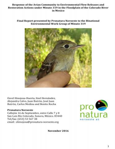 Response of the Avian Community to Environmental Flow Releases and Restoration Actions under Minute 319 in the Floodplain of the Colorado River in Mexico