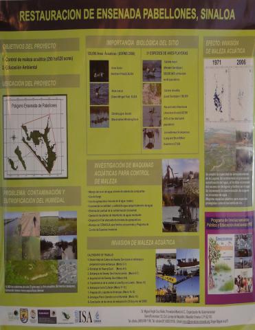 Restauración de Ensenada Pabellones, Sinaloa