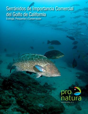 Serránidos de importancia comercial del Golfo de California