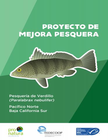Proyecto de mejora pesquera. Pesquería de Verdillo (Paralabrax nebulifer)