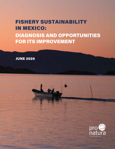 Embarcación en el atardecer 