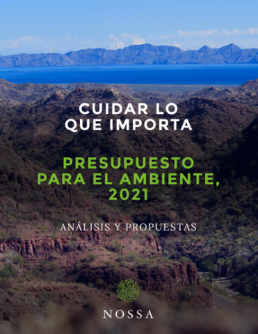 Portada Presupuesto para el ambiente 2021