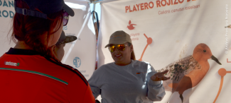 Activities in the information stand