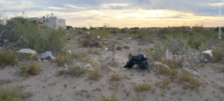 Landscape at Laguna San Ignacio