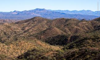 Sierra de Cucurpe, Sonora.
