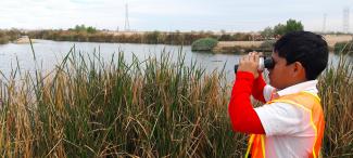 Observación de aves en Humedal Cucapá