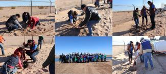 Jornada de reforestación en Humedal Cucapá