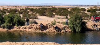 Brigada de Restauración de Restauración de Pronatura Noroeste