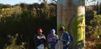 Conteo y registro de desechos levantados.