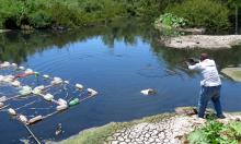 Trabajador lanza una cubeta amarraza a un lazo en la orilla del cauce del agua, para obtener muestra.