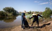Limpieza en Vado Carranza